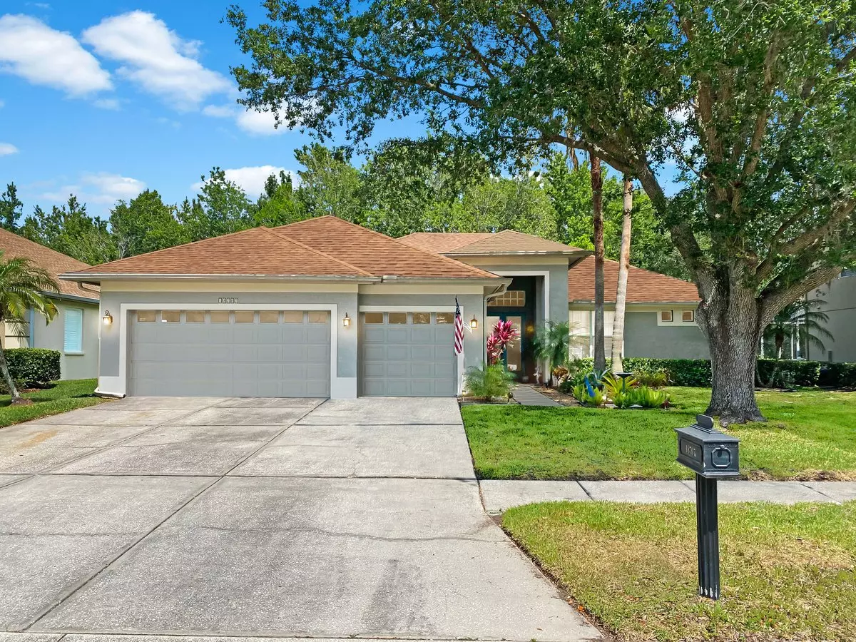 4 Bed 3 Bath Cheval Pool Home First Time Rental Lawn And Pool Included House for rent in Lutz, FL