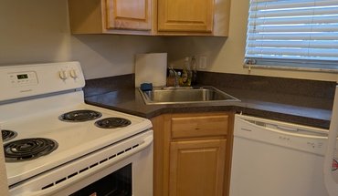 439 S Paula Dr Apt 207 Apartment for rent in Dunedin, FL