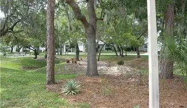 2 of 17 39650 Us Highway 19 N Apt 561 House for rent in Tarpon Springs, FL