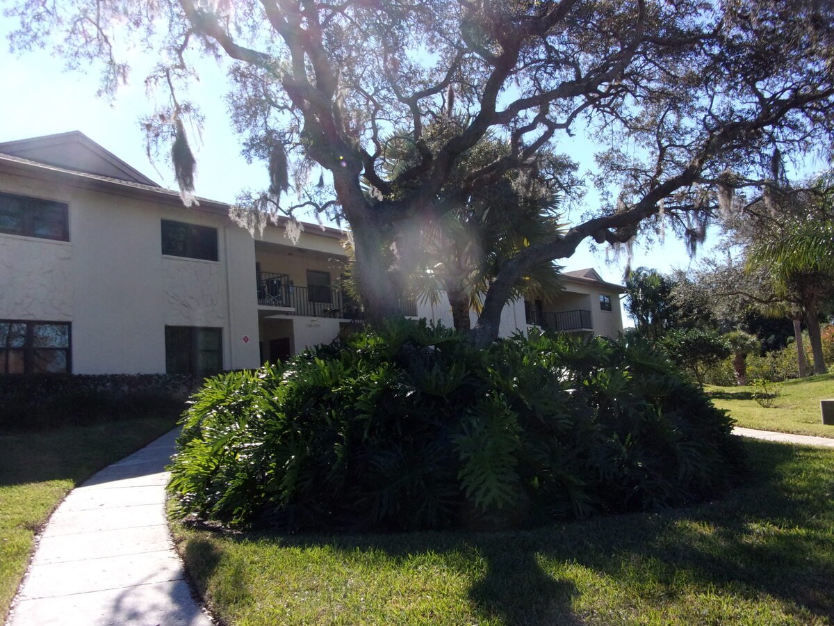 Downstairs Beautiful Renovated 2 Bedroom Apartments Tarpon Springs, FL