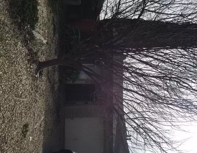 Availabe Soon!!! Apartment for rent in Rancho Cordova, CA