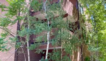 2 of 22 1510 20th Apartment for rent in Boulder, CO