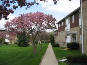 3031 S. Washington Apartment for rent in Lansing, MI