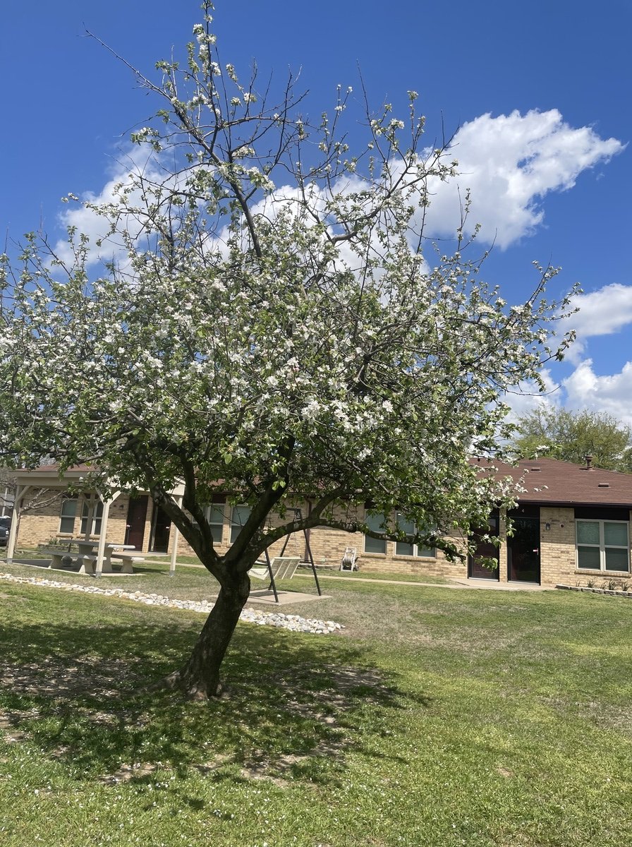 Village Senior Housing Apartments Tulsa, OK