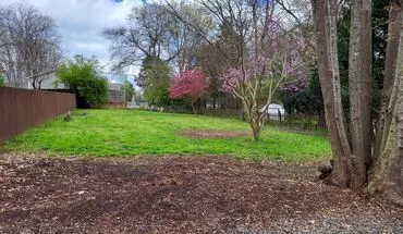 4 of 11 3 Bedroom In Matthews House for rent in Matthews, NC