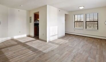 East Village Apartment for rent in Minneapolis, MN