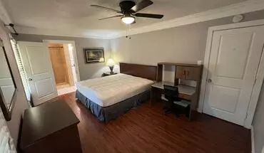 4 of 37 Palmetto St Apartment for rent in Houston, TX