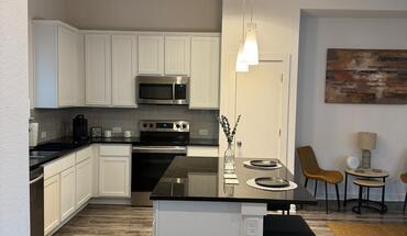 Ozark Trl Apartment for rent in Leander, TX