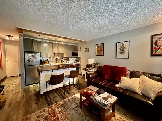 Beautifully Updated Condo In Winter Park Apartment for rent in Winter Park, CO