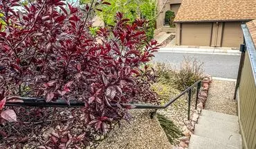 4 of 30 Beautiful & Large 4-bd 2.5-ba, In Boulders Shanahan Ridge Neighborhood- Only $1,000 Deposit!!!!!!! House for rent in Boulder, CO