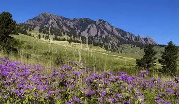 2 of 30 Beautiful & Large 4-bd 2.5-ba, In Boulders Shanahan Ridge Neighborhood- Only $1,000 Deposit!!!!!!! House for rent in Boulder, CO