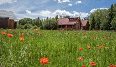 3 of 43 Charming Log Cabin And Carriage House – Downtown Victor, Id House for rent in Victor, ID