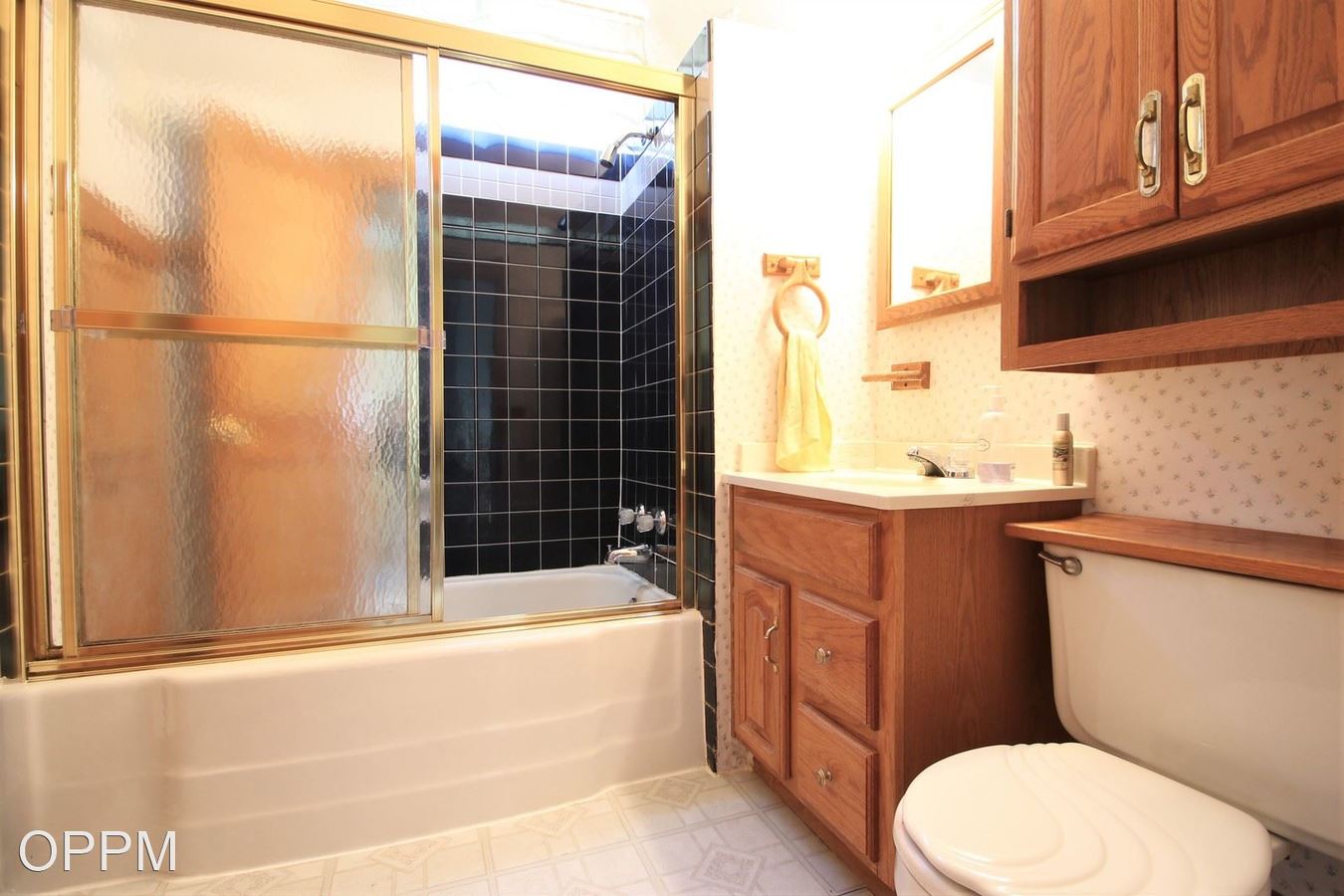 1017 Arbor St Omaha, NE House for Rent Rentable