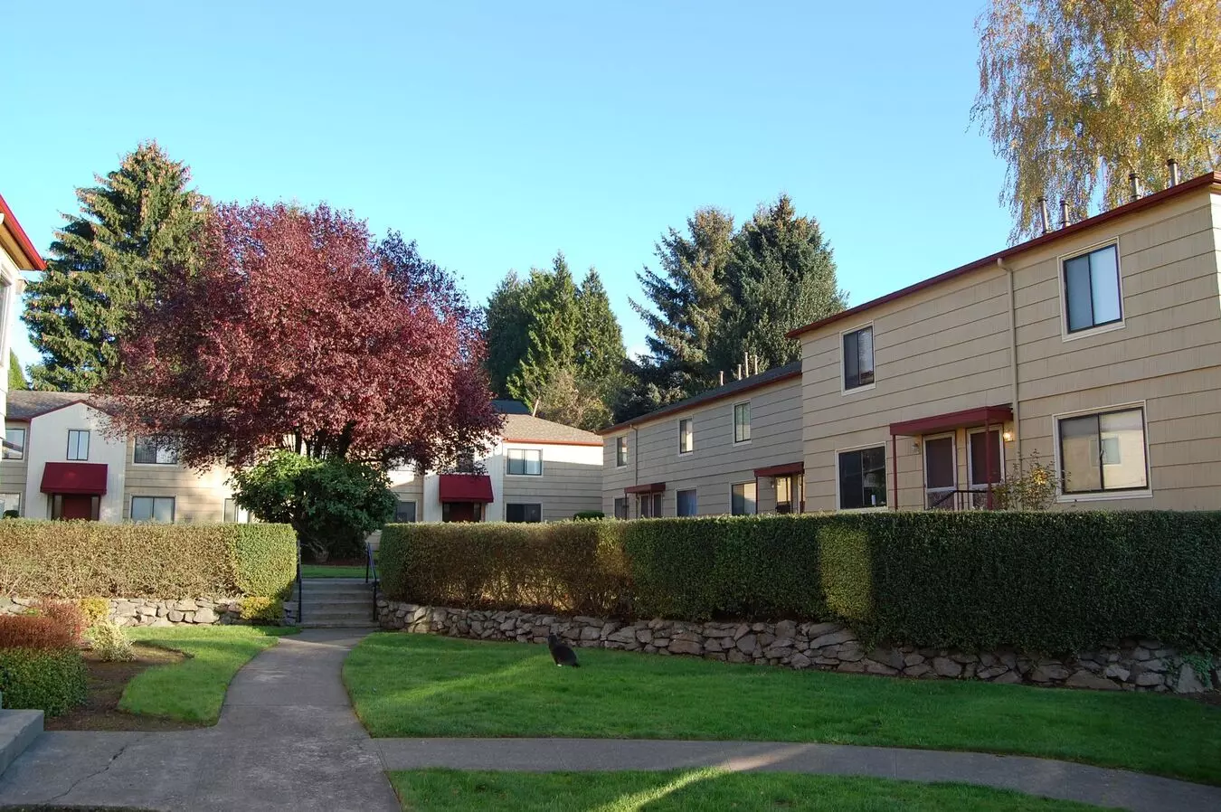 Mt. Tabor Court Apartment for rent in Portland, OR