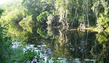 3 of 5 2br 2ba Duplex On Haines Creek Apartment for rent in Leesburg, FL