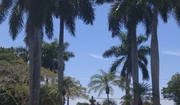 3 of 17 B-307 2 Bed / 2 Bath Apartment for rent in Pompano Beach, FL