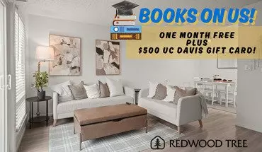 5 of 48 New Study Room! Available Now And For 2025-26 School Year! Apartment for rent in Davis, CA