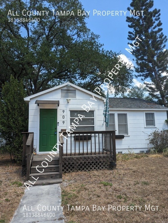 909 W Orient St Tampa, FL House for Rent Rentable