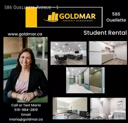 596 Ouelette Ave Apartment for rent in Windsor, ON