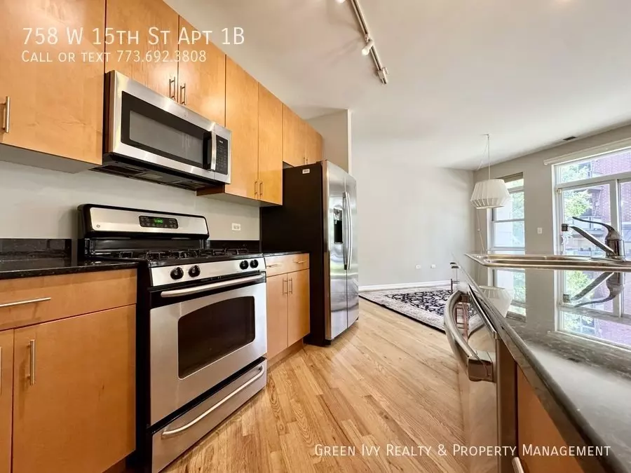 758 W 15th St Apt 1B Apartment for rent in Chicago, IL