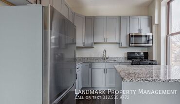 1926 S Canalport Apartment for rent in Chicago, IL