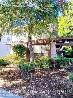 1609 Addison St Apartment for rent in Berkeley, CA
