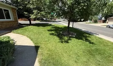 3 of 30 Updated Energy Efficient 3-bedroom Home In Ideal Location House for rent in Fort Collins, CO