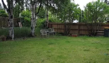 2 of 27 1353 M St House for rent in Anchorage, AK