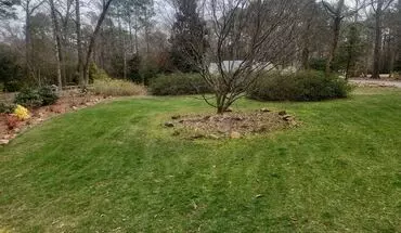 4 of 36 Gorgeous Property !! House for rent in Fuquay Varina, NC