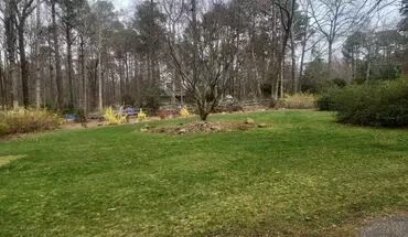 3 of 36 Gorgeous Property !! House for rent in Fuquay Varina, NC