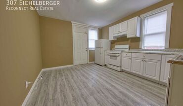 307 Eichelberger Apartment for rent in St Louis, MO