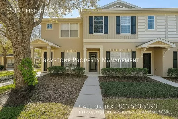 15833 Fish Hawk Falls Dr Apartment for rent in Lithia, FL