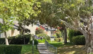 2 of 38 Stunning House In The Heart Of La Jolla Close To Beach And Literally Inside Ucsd House for rent in La Jolla, CA