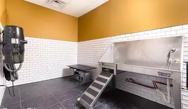 3 of 44 Rye At Tillstone - Bldg 1 Apartment for rent in Fargo, ND
