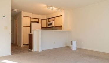 4 Bedroom 2 Bath Apartment With Washer And Dryer! Apartment for rent in Blacksburg, VA