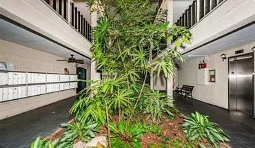 5 of 63 2302 S Manhattan Ave Apartment for rent in Tampa, FL
