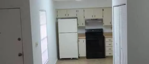 8419 N Manhattan Ave Apartment for rent in Tampa, FL