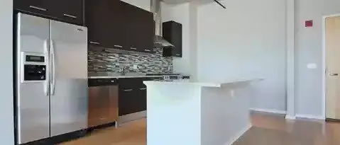 1180 S Delano Ct W Apartment for rent in Chicago, IL