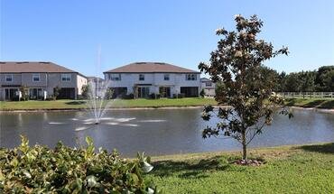 19630 Shady Oak Dr Apartment for rent in Land O Lakes, FL