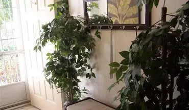 4 of 63 2418 Nantucket Field Way Apartment for rent in Sun City Center, FL