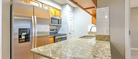 232 Red Maple Pl Apartment for rent in Brandon, FL