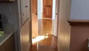 2 of 16 391 Langley Rd Apartment for rent in Newton, MA