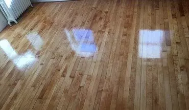5 of 16 391 Langley Rd Apartment for rent in Newton, MA