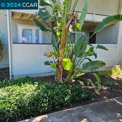1505 Kirker Pass Apartment for rent in Concord, CA