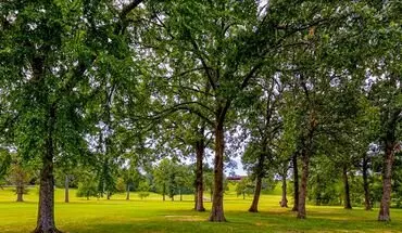 3 of 44 Welcome Home To Fairway At Fianna Hills – Fort Smith Living With A Scenic View Apartment for rent in Fort Smith, AR
