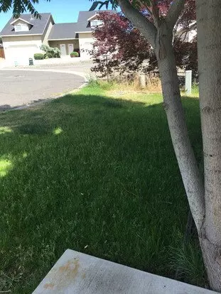 Your Terrace Heights Retreat- Spacious Comfort With All The Right Features! Apartment for rent in Yakima, WA