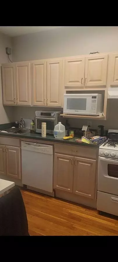 Amazing 1 Bed In Harvard Square Available Now Apartment for rent in Cambridge, MA