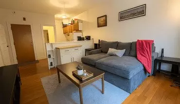 3 of 9 Charming 1-bed In Brookline | Prime Beacon St Location + Fee Paid House for rent in Brookline, MA