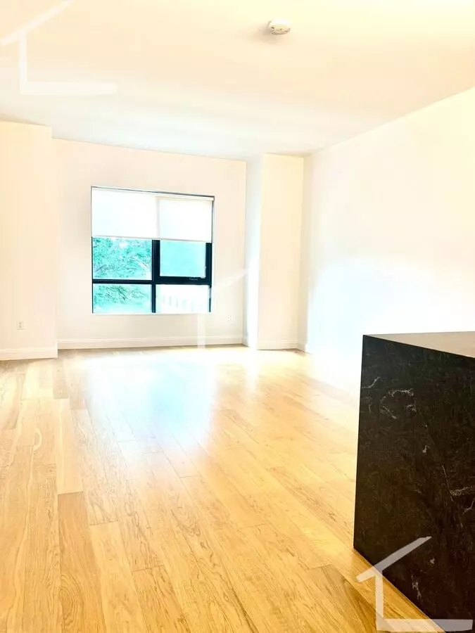 Avl Now! No Fee! New Const. 2br/2ba Near Packards Corner Apartment for rent in Boston, MA