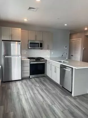 Luxury 2Bed / 2Bath South Boston Elevator Building With Roofdeck And Modern Finishes Apartment for rent in Brookline, MA